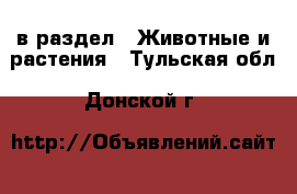  в раздел : Животные и растения . Тульская обл.,Донской г.